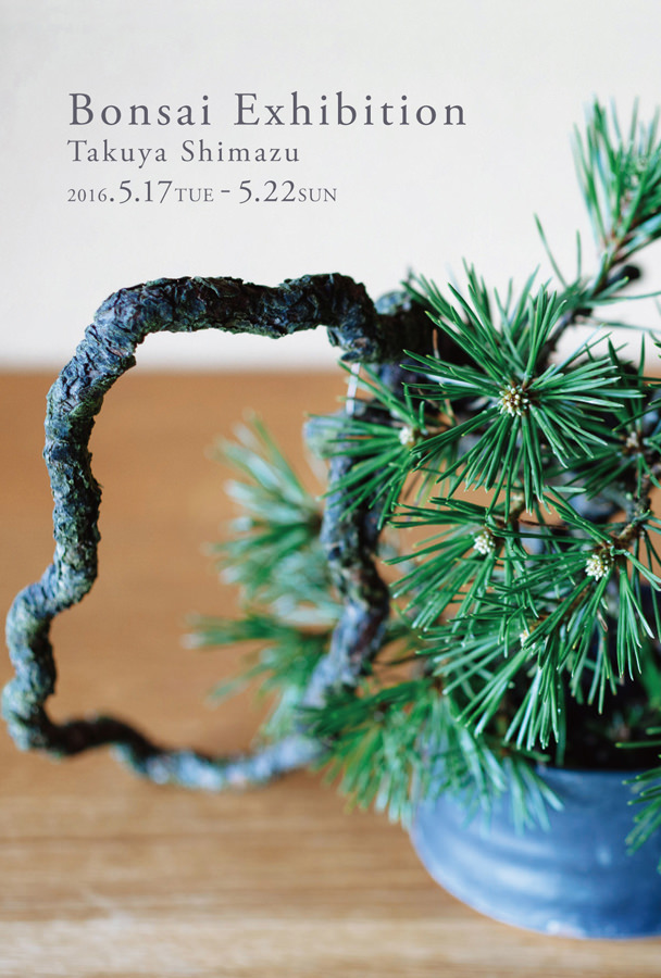enlc-201605-Bonsai Exhibition