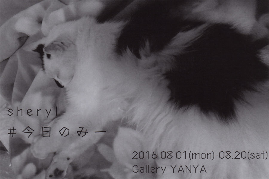 yanya-201608-Sheryl Exhibition #今日のみー